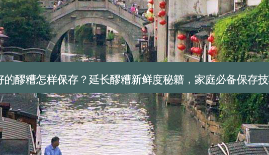 发好的醪糟怎样保存?延长醪糟新鲜度秘籍,家庭必备保存技巧!-第1张图片-吾爱整形网 发好的醪糟怎样保存?延长醪糟新鲜度秘籍,家庭必备保存技巧!-第1张图片-吾爱整形网