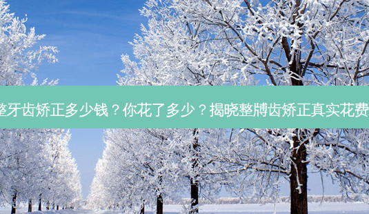 整牙齿矫正多少钱？你花了多少？揭晓整牔齿矫正真实花费！-第1张图片-吾爱整形网