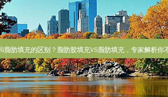 脂肪胶填充和脂肪填充的区别?脂肪胶填充VS脂肪填充,专家解析你不知道的真相-第1张图片-吾爱整形网 脂肪胶填充和脂肪填充的区别?脂肪胶填充VS脂肪填充,专家解析你不知道的真相-第1张图片-吾爱整形网