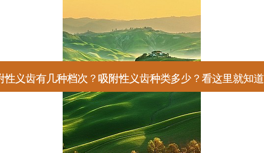 吸附性义齿有几种档次?吸附性义齿种类多少?看这里就知道了!-第1张图片-吾爱整形网 吸附性义齿有几种档次?吸附性义齿种类多少?看这里就知道了!-第1张图片-吾爱整形网