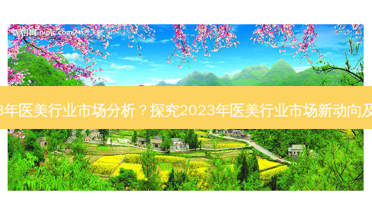 2023年医美行业市场分析？探究2023年医美行业市场新动向及趋势-第1张图片-吾爱整形网