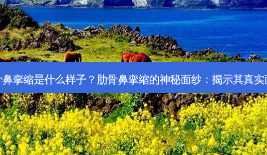 肋骨鼻挛缩是什么样子?肋骨鼻挛缩的神秘面纱:揭示其真实面貌-第1张图片-吾爱整形网 肋骨鼻挛缩是什么样子?肋骨鼻挛缩的神秘面纱:揭示其真实面貌-第1张图片-吾爱整形网