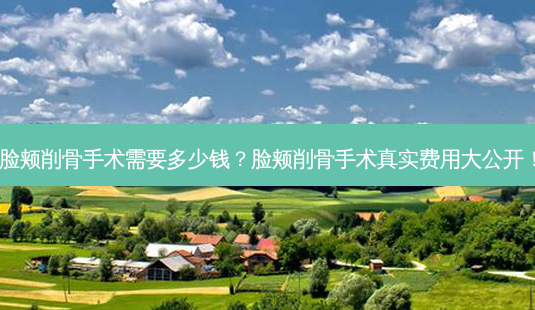 脸颊削骨手术需要多少钱?脸颊削骨手术真实费用大公开!-第1张图片-吾爱整形网 脸颊削骨手术需要多少钱?脸颊削骨手术真实费用大公开!-第1张图片-吾爱整形网
