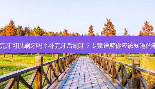 补完牙可以刷牙吗?补完牙后刷牙?专家详解你应该知道的事!-第1张图片-吾爱整形网 补完牙可以刷牙吗?补完牙后刷牙?专家详解你应该知道的事!-第1张图片-吾爱整形网