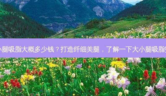 大小腿吸脂大概多少钱?打造纤细美腿,了解一下大小腿吸脂费用-第1张图片-吾爱整形网 大小腿吸脂大概多少钱?打造纤细美腿,了解一下大小腿吸脂费用-第1张图片-吾爱整形网
