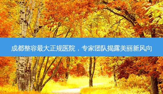 成都整容大正规医院,专家团队揭露美丽新风向-第1张图片-吾爱整形网 成都整容大正规医院,专家团队揭露美丽新风向-第1张图片-吾爱整形网