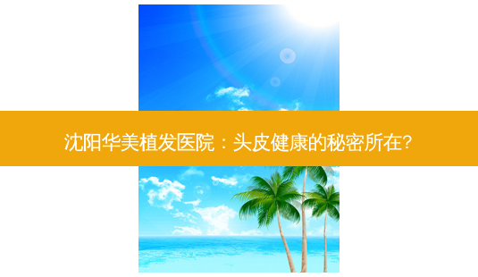 沈阳华美植发医院:头皮健康的秘密所在?-第1张图片-吾爱整形网 沈阳华美植发医院:头皮健康的秘密所在?-第1张图片-吾爱整形网