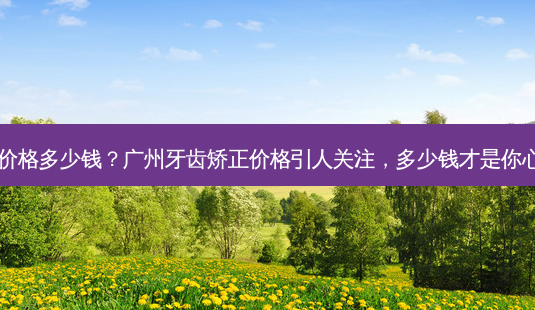 广州牙齿矫正价格多少钱?广州牙齿矫正价格引人关注,多少钱才是你心中的理想价?-第1张图片-吾爱整形网 广州牙齿矫正价格多少钱?广州牙齿矫正价格引人关注,多少钱才是你心中的理想价?-第1张图片-吾爱整形网