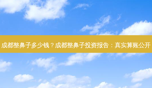 成都整鼻子多少钱？成都整鼻子投资报告：真实算账公开-第1张图片-吾爱整形网