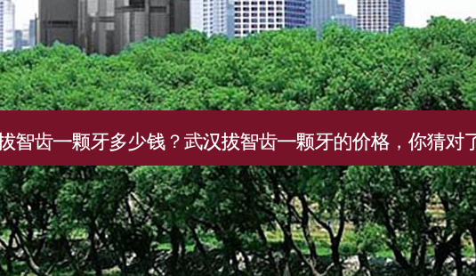 武汉拔智齿一颗牙多少钱？武汉拔智齿一颗牙的价格，你猜对了吗？-第1张图片-吾爱整形网