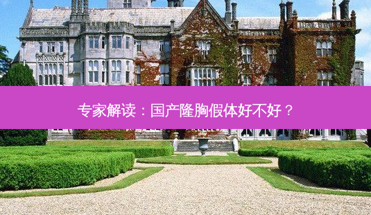 专家解读:国产隆胸假体好不好?-第1张图片-吾爱整形网 专家解读:国产隆胸假体好不好?-第1张图片-吾爱整形网
