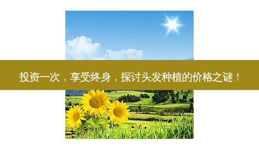 投资一次,享受终身,探讨头发种植的价格之谜!-第1张图片-吾爱整形网 投资一次,享受终身,探讨头发种植的价格之谜!-第1张图片-吾爱整形网