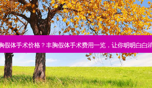 丰胸假体手术价格?丰胸假体手术费用一览,让你明明白白消费-第1张图片-吾爱整形网 丰胸假体手术价格?丰胸假体手术费用一览,让你明明白白消费-第1张图片-吾爱整形网