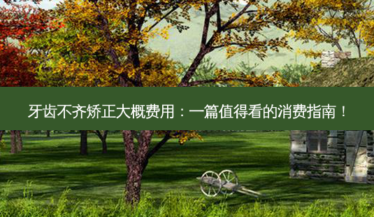 牙齿不齐矫正大概费用:一篇值得看的消费指南!-第1张图片-吾爱整形网 牙齿不齐矫正大概费用:一篇值得看的消费指南!-第1张图片-吾爱整形网