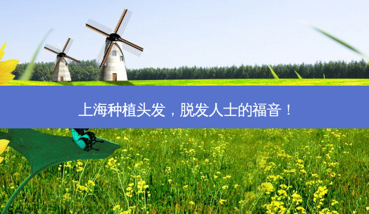 上海种植头发,脱发人士的福音!-第1张图片-吾爱整形网 上海种植头发,脱发人士的福音!-第1张图片-吾爱整形网