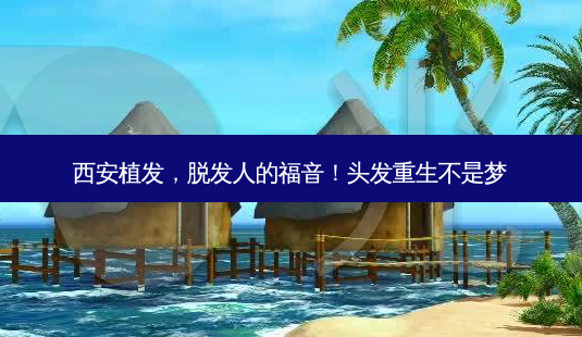 西安植发,脱发人的福音!头发重生不是梦-第1张图片-吾爱整形网 西安植发,脱发人的福音!头发重生不是梦-第1张图片-吾爱整形网