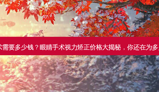 眼睛视力手术需要多少钱?眼睛手术视力矫正价格大揭秘,你还在为多少钱纠结吗?-第1张图片-吾爱整形网 眼睛视力手术需要多少钱?眼睛手术视力矫正价格大揭秘,你还在为多少钱纠结吗?-第1张图片-吾爱整形网