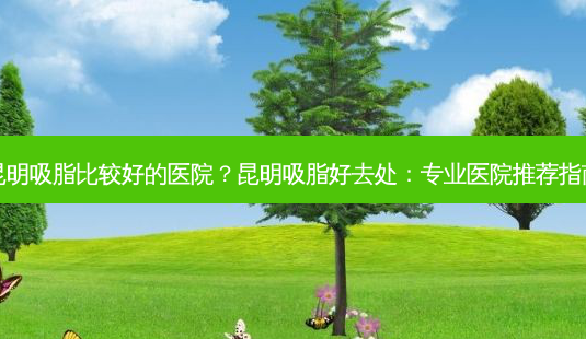 昆明吸脂比较好的医院?昆明吸脂好去处:专业医院推荐指南-第1张图片-吾爱整形网 昆明吸脂比较好的医院?昆明吸脂好去处:专业医院推荐指南-第1张图片-吾爱整形网