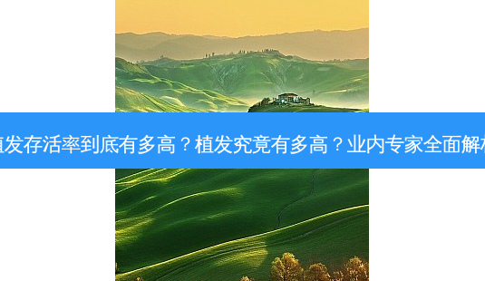 植发到底有多高?植发究竟有多高?业内专家全面解析-第1张图片-吾爱整形网 植发到底有多高?植发究竟有多高?业内专家全面解析-第1张图片-吾爱整形网