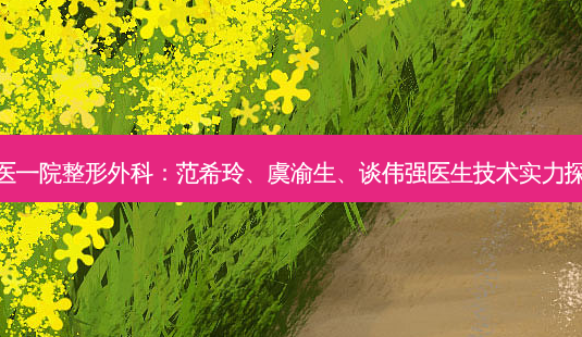 浙医一院整形外科：范希玲、虞渝生、谈伟强医生技术实力探索-第1张图片-吾爱整形网