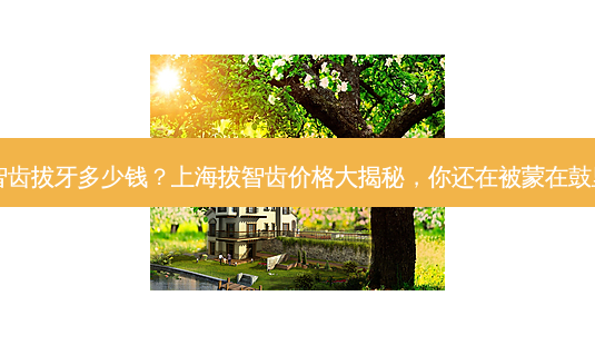 上海智齿拔牙多少钱?上海拔智齿价格大揭秘,你还在被蒙在鼓里吗?-第1张图片-吾爱整形网 上海智齿拔牙多少钱?上海拔智齿价格大揭秘,你还在被蒙在鼓里吗?-第1张图片-吾爱整形网