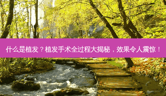 什么是植发?植发手术全过程大揭秘,效果令人震惊!-第1张图片-吾爱整形网 什么是植发?植发手术全过程大揭秘,效果令人震惊!-第1张图片-吾爱整形网
