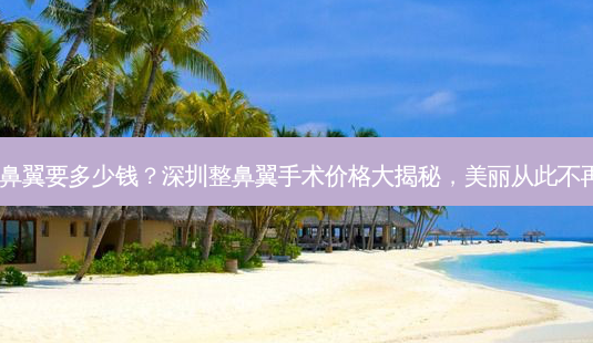 深圳整鼻翼要多少钱?深圳整鼻翼手术价格大揭秘,美丽从此不再是梦!-第1张图片-吾爱整形网 深圳整鼻翼要多少钱?深圳整鼻翼手术价格大揭秘,美丽从此不再是梦!-第1张图片-吾爱整形网