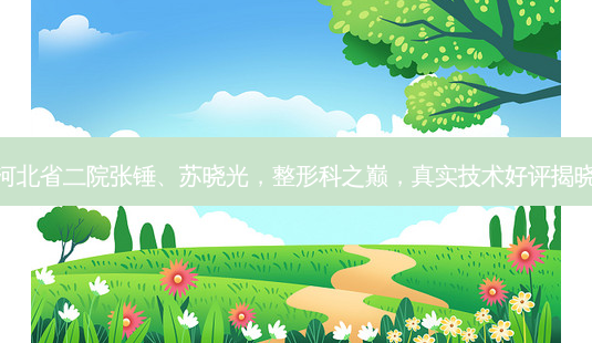 河北省二院张锤、苏晓光,整形科之巅,真实技术好评揭晓-第1张图片-吾爱整形网 河北省二院张锤、苏晓光,整形科之巅,真实技术好评揭晓-第1张图片-吾爱整形网