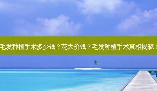 毛发种植手术多少钱?花大价钱?毛发种植手术真相揭晓!-第1张图片-吾爱整形网 毛发种植手术多少钱?花大价钱?毛发种植手术真相揭晓!-第1张图片-吾爱整形网