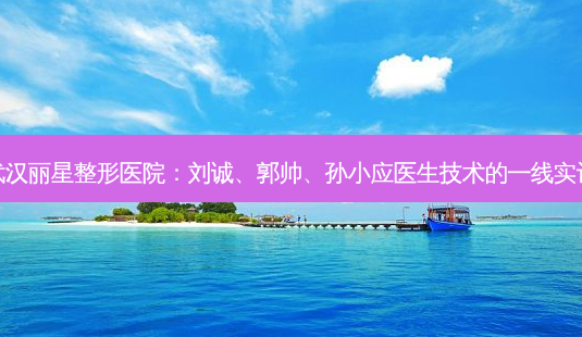 武汉丽星整形医院:刘诚、郭帅、孙小应医生技术的一线实评-第1张图片-吾爱整形网 武汉丽星整形医院:刘诚、郭帅、孙小应医生技术的一线实评-第1张图片-吾爱整形网