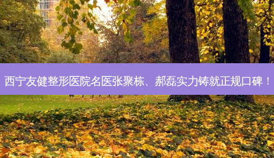 西宁友健整形医院名医张聚栋、郝磊实力铸就正规口碑!-第1张图片-吾爱整形网 西宁友健整形医院名医张聚栋、郝磊实力铸就正规口碑!-第1张图片-吾爱整形网