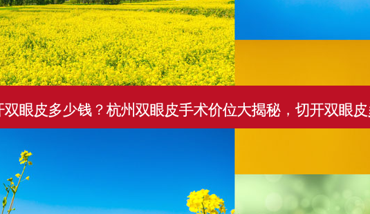 杭州切开双眼皮多少钱?杭州双眼皮手术价位大揭秘,切开双眼皮多少钱?-第1张图片-吾爱整形网 杭州切开双眼皮多少钱?杭州双眼皮手术价位大揭秘,切开双眼皮多少钱?-第1张图片-吾爱整形网