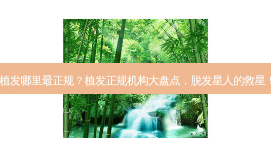 植发哪里正规?植发正规机构大盘点,脱发星人的救星!-第1张图片-吾爱整形网 植发哪里正规?植发正规机构大盘点,脱发星人的救星!-第1张图片-吾爱整形网