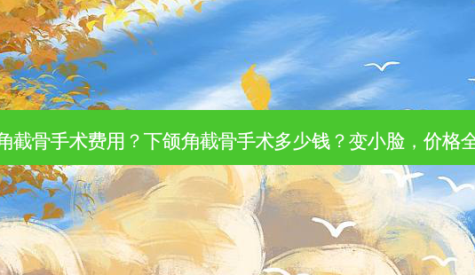 下颌角截骨手术费用？下颌角截骨手术多少钱？变小脸，价格全解析-第1张图片-吾爱整形网