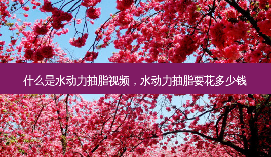 什么是水动力抽脂视频,水动力抽脂要花多少钱-第1张图片-吾爱整形网 什么是水动力抽脂视频,水动力抽脂要花多少钱-第1张图片-吾爱整形网