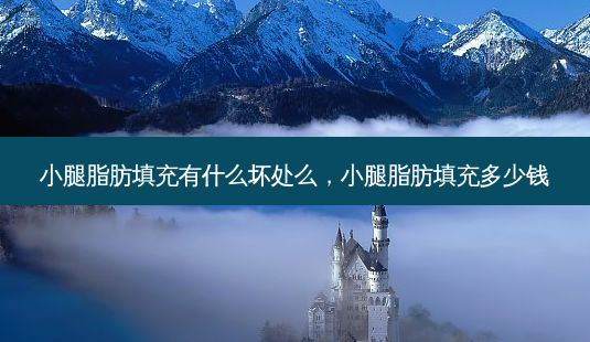 小腿脂肪填充有什么坏处么,小腿脂肪填充多少钱-第1张图片-吾爱整形网 小腿脂肪填充有什么坏处么,小腿脂肪填充多少钱-第1张图片-吾爱整形网