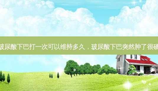 玻尿酸下巴打一次可以维持多久,玻尿酸下巴突然肿了很硬-第1张图片-吾爱整形网 玻尿酸下巴打一次可以维持多久,玻尿酸下巴突然肿了很硬-第1张图片-吾爱整形网