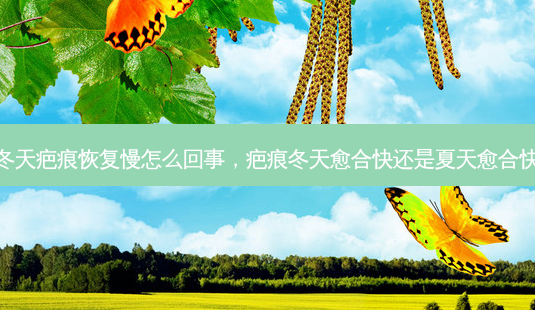 冬天疤痕恢复慢怎么回事,疤痕冬天愈合快还是夏天愈合快-第1张图片-吾爱整形网 冬天疤痕恢复慢怎么回事,疤痕冬天愈合快还是夏天愈合快-第1张图片-吾爱整形网