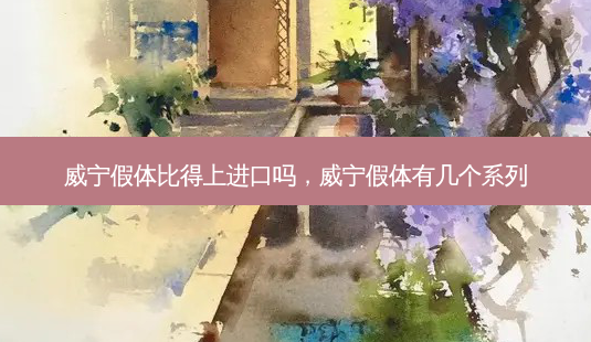 威宁假体比得上进口吗,威宁假体有几个系列-第1张图片-吾爱整形网 威宁假体比得上进口吗,威宁假体有几个系列-第1张图片-吾爱整形网