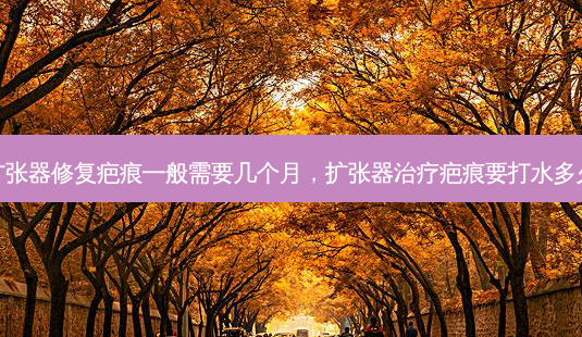 扩张器修复疤痕一般需要几个月,扩张器治疗疤痕要打水多久-第1张图片-吾爱整形网 扩张器修复疤痕一般需要几个月,扩张器治疗疤痕要打水多久-第1张图片-吾爱整形网