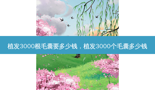植发3000根毛囊要多少钱,植发3000个毛囊多少钱-第1张图片-吾爱整形网 植发3000根毛囊要多少钱,植发3000个毛囊多少钱-第1张图片-吾爱整形网