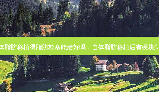 做自体脂肪移植得脂肪栓塞能治好吗,自体脂肪移植后有硬块怎么办-第1张图片-吾爱整形网 做自体脂肪移植得脂肪栓塞能治好吗,自体脂肪移植后有硬块怎么办-第1张图片-吾爱整形网