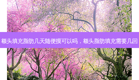 额头填充脂肪几天随便摸可以吗,额头脂肪填充需要几回-第1张图片-吾爱整形网 额头填充脂肪几天随便摸可以吗,额头脂肪填充需要几回-第1张图片-吾爱整形网