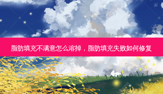 脂肪填充不满意怎么溶掉,脂肪填充失败如何修复-第1张图片-吾爱整形网 脂肪填充不满意怎么溶掉,脂肪填充失败如何修复-第1张图片-吾爱整形网