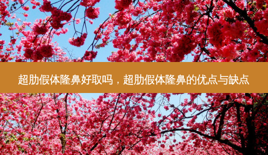 超肋假体隆鼻好取吗,超肋假体隆鼻的优点与缺点-第1张图片-吾爱整形网 超肋假体隆鼻好取吗,超肋假体隆鼻的优点与缺点-第1张图片-吾爱整形网