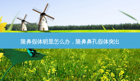 隆鼻假体明显怎么办,隆鼻鼻孔假体突出-第1张图片-吾爱整形网 隆鼻假体明显怎么办,隆鼻鼻孔假体突出-第1张图片-吾爱整形网