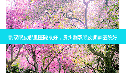 割双眼皮哪里医院最好,贵州割双眼皮哪家医院好-第1张图片-吾爱整形网 割双眼皮哪里医院最好,贵州割双眼皮哪家医院好-第1张图片-吾爱整形网