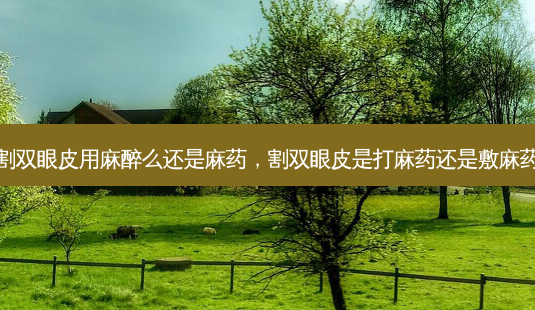 割双眼皮用麻醉么还是麻药,割双眼皮是打麻药还是敷麻药-第1张图片-吾爱整形网 割双眼皮用麻醉么还是麻药,割双眼皮是打麻药还是敷麻药-第1张图片-吾爱整形网