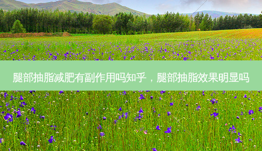 腿部抽脂减肥有副作用吗知乎,腿部抽脂效果明显吗-第1张图片-吾爱整形网 腿部抽脂减肥有副作用吗知乎,腿部抽脂效果明显吗-第1张图片-吾爱整形网