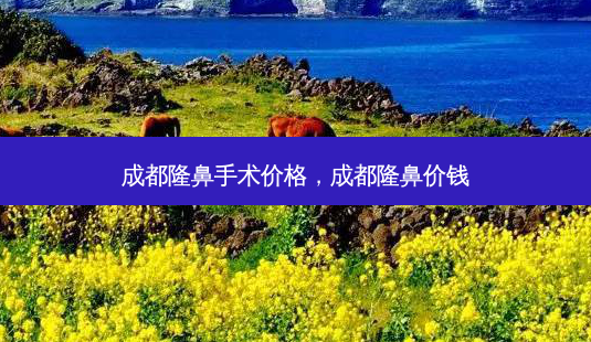 成都隆鼻手术价格,成都隆鼻价钱-第1张图片-吾爱整形网 成都隆鼻手术价格,成都隆鼻价钱-第1张图片-吾爱整形网
